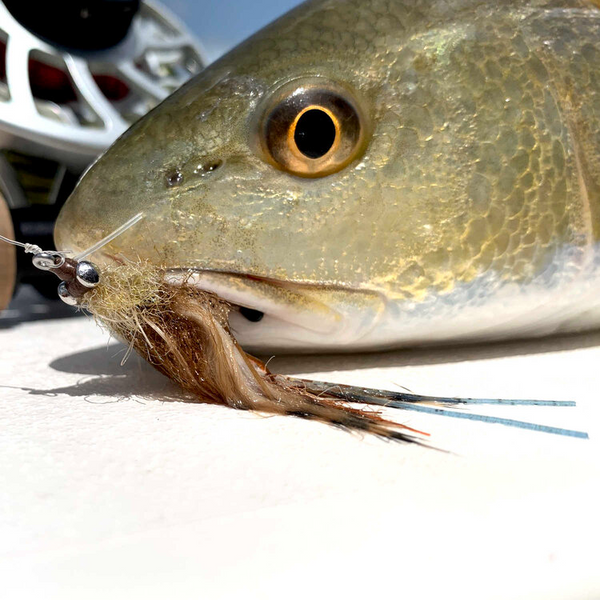 fiddler crab fishing lure Sight Cast Freeport Fiddler Crab – Space Coast Flies