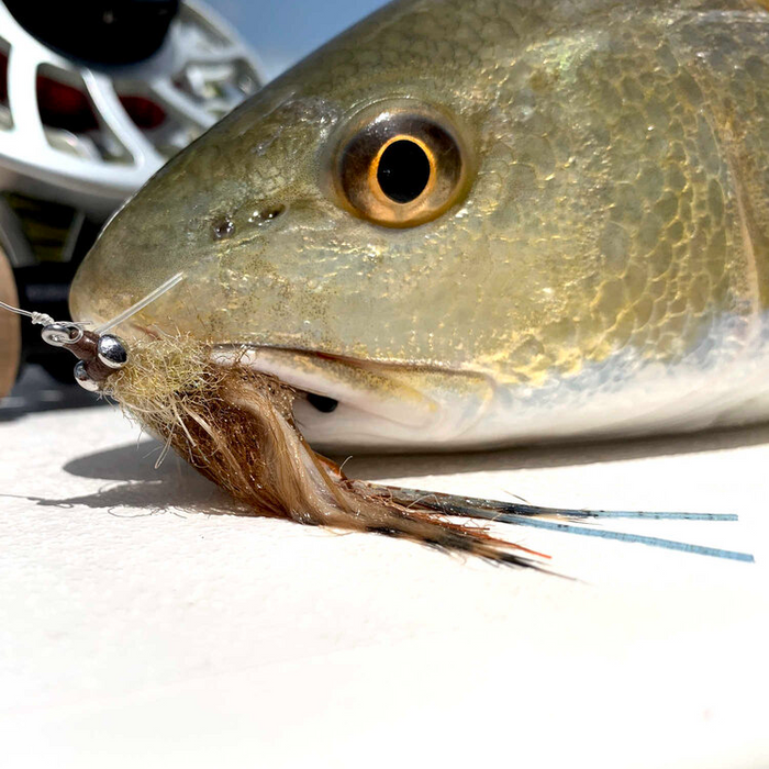Sight Cast Freeport Fiddler Crab – Space Coast Flies