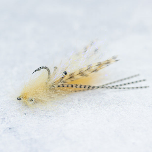 Doyle's Shrimp HD
