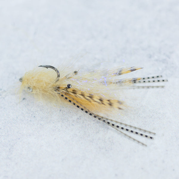 Doyle's Shrimp HD