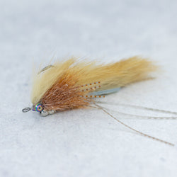 Smith's Dive Bomb Critter