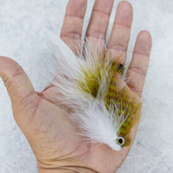 Galloup's Bangtail