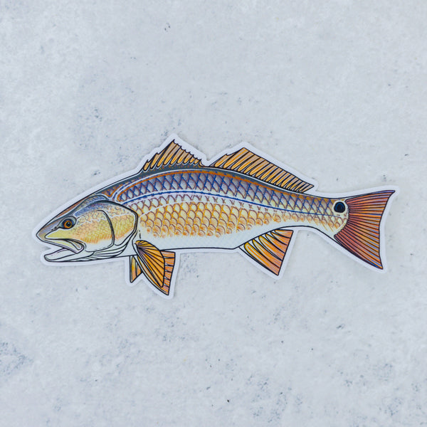 Redfish Sticker