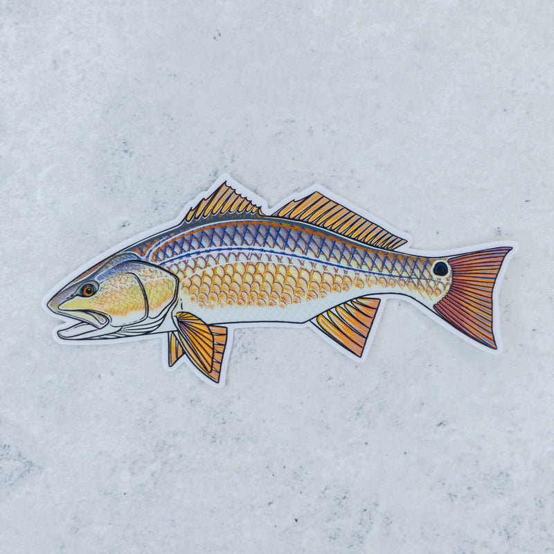 Redfish Sticker