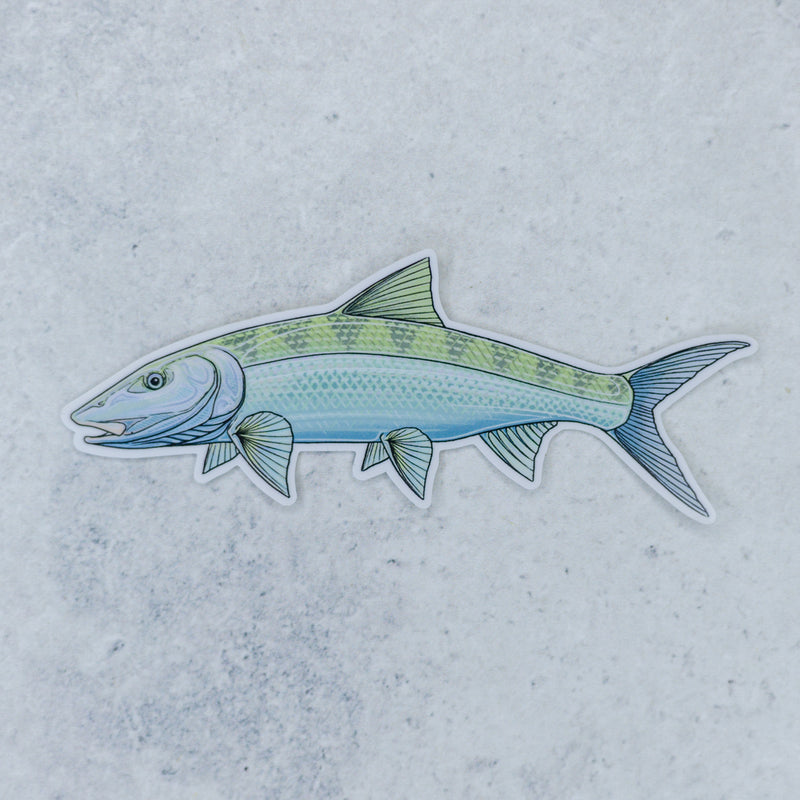 Bonefish Sticker