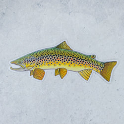 Brown Trout Sticker