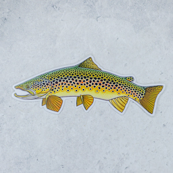 Brown Trout Sticker