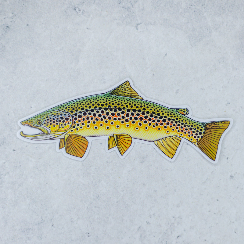 Brown Trout Sticker