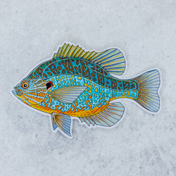 Pumpkinseed Sticker