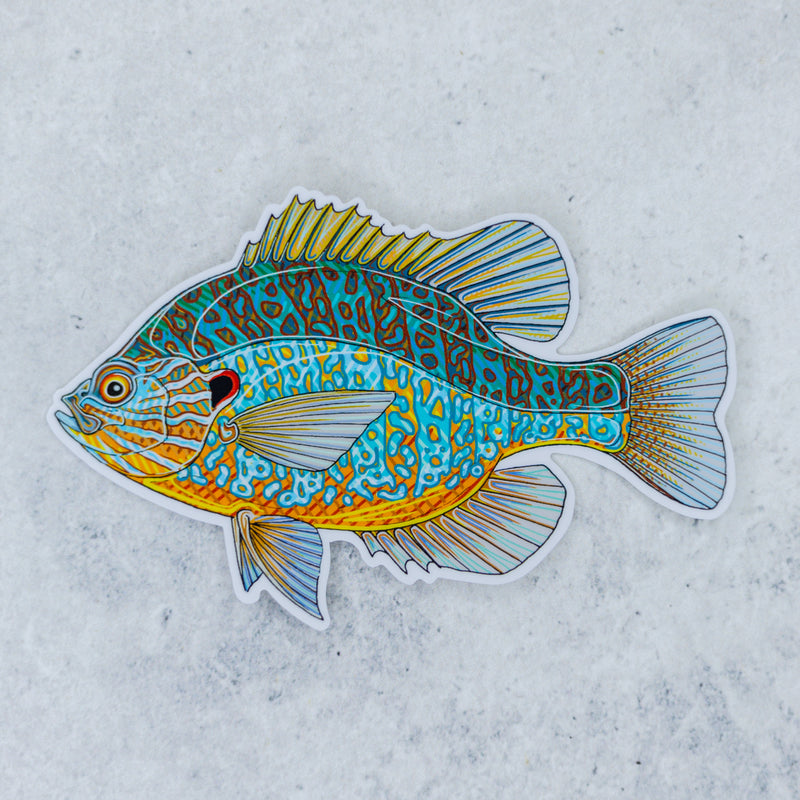 Pumpkinseed Sticker