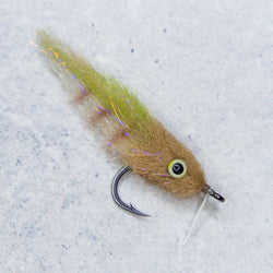 Everglades Special