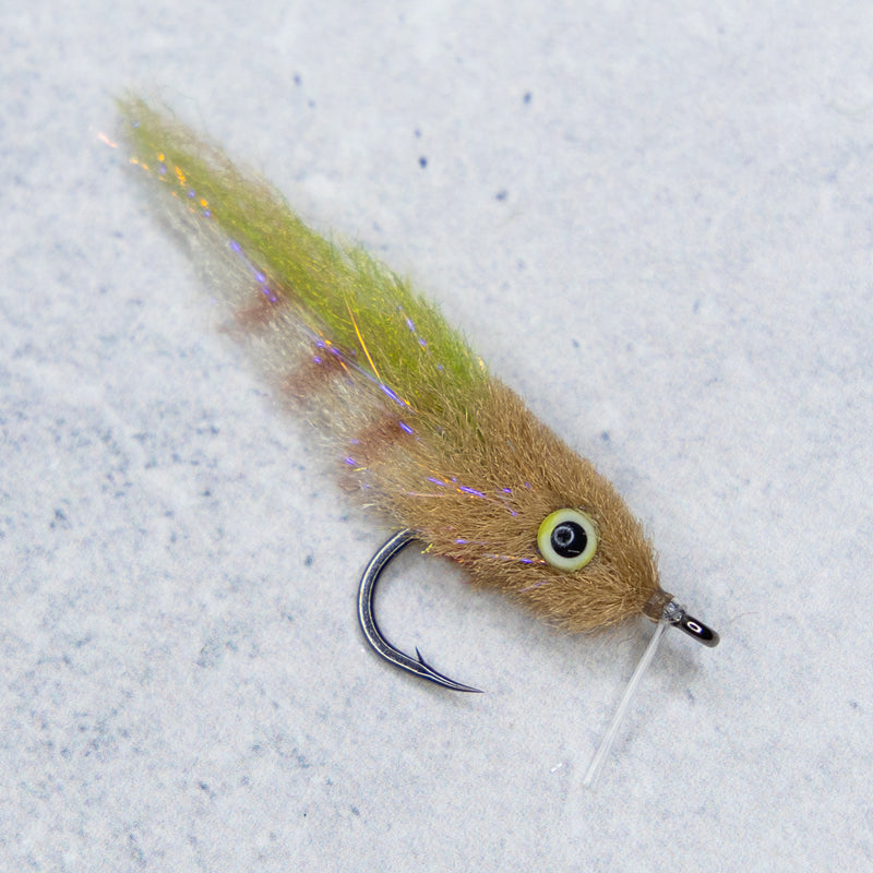 Everglades Special
