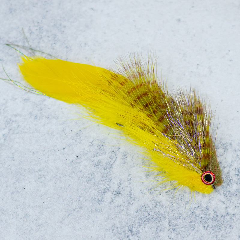 Galloup's Bangtail