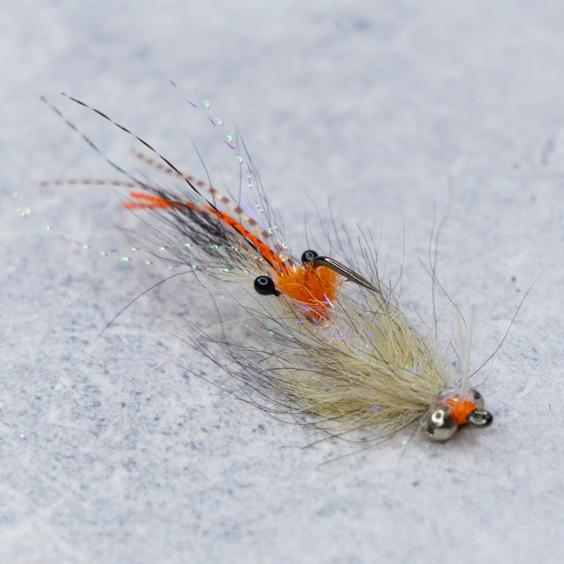 EP Spawning Shrimp #4