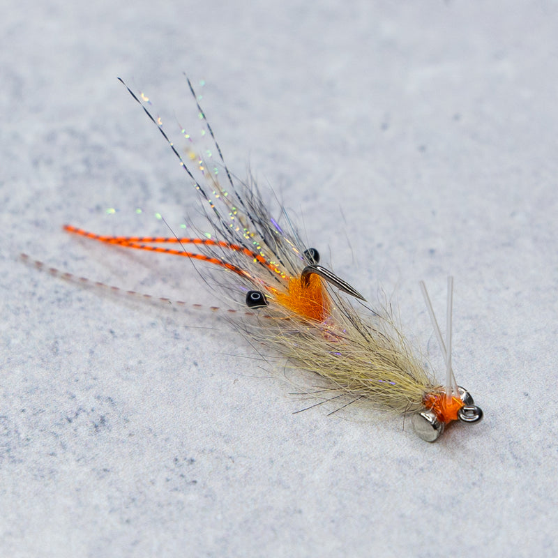 EP Spawning Shrimp #4