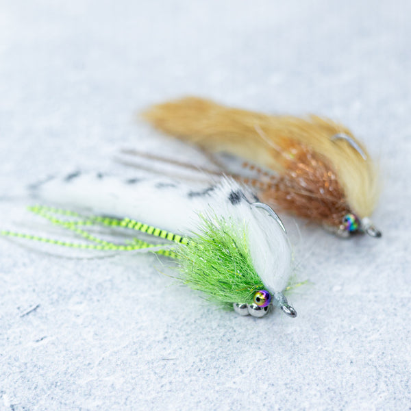 Smith's Dive Bomb Critter