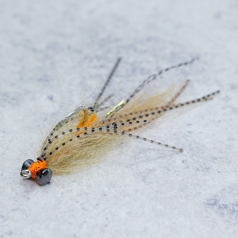MFC's Spawning Shrimp