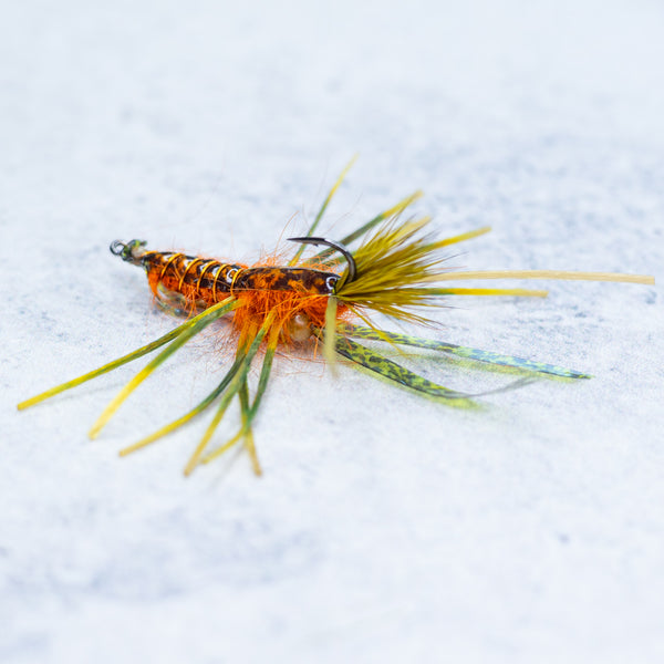 Kory's Crawdad