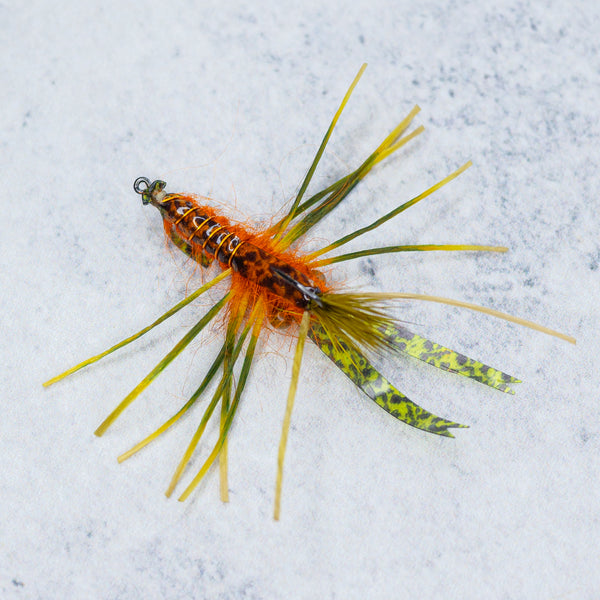 Kory's Crawdad