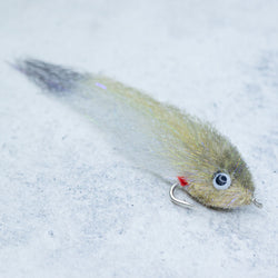 Roosterfish Mullet