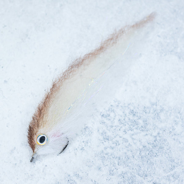 EP Roosterfish Sardina Tan