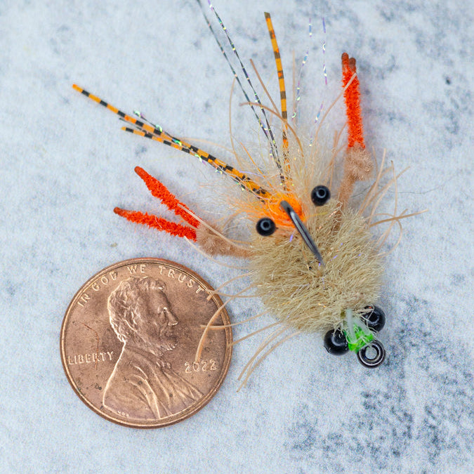 EP Tarantula Crab