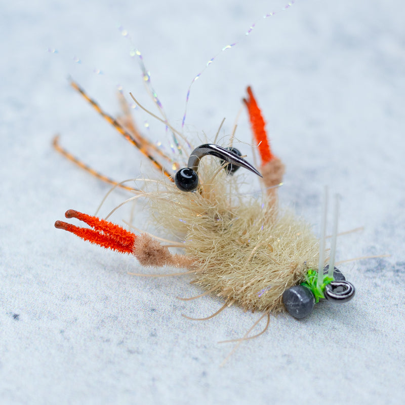 EP Tarantula Crab