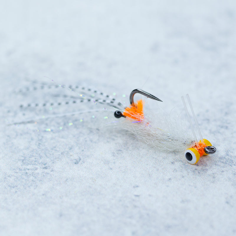 EP Spawning Shrimp #4
