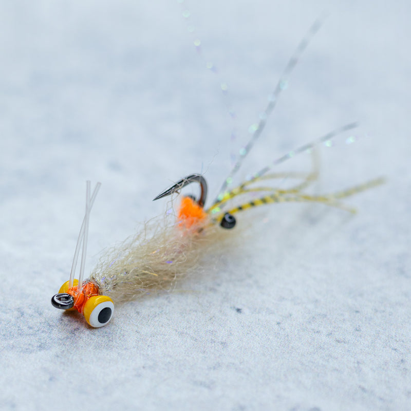 EP Spawning Shrimp #4