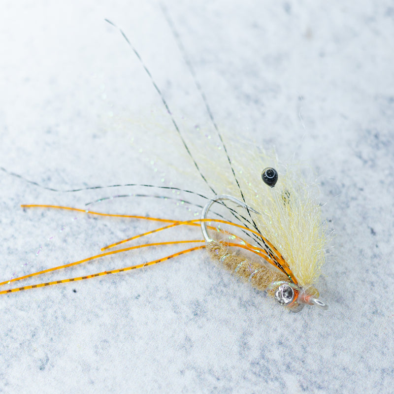 Ghost Shrimp
