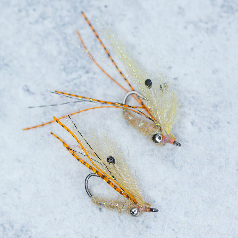 Ghost Shrimp