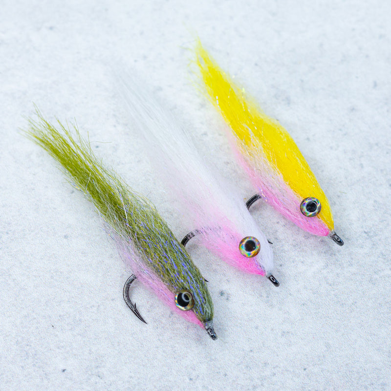 King Bay Anchovy King Bay Anchovy