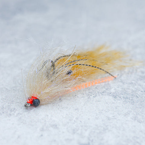 Rio Shrimp Tease