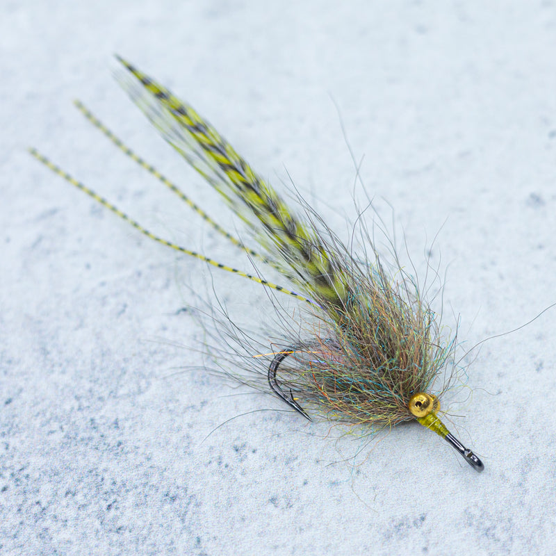 SF Grass Shrimp