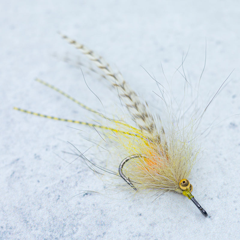 SF Grass Shrimp