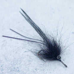 SF Grass Shrimp
