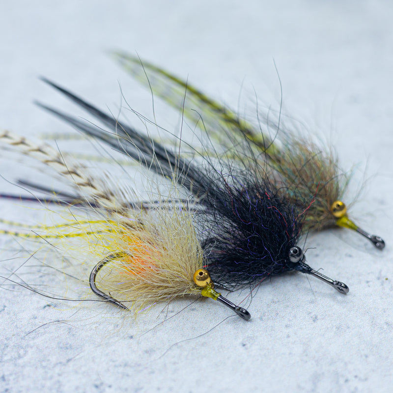 SF Grass Shrimp