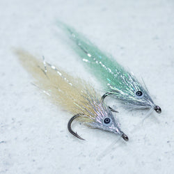 Bay Anchovy