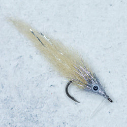 Bay Anchovy