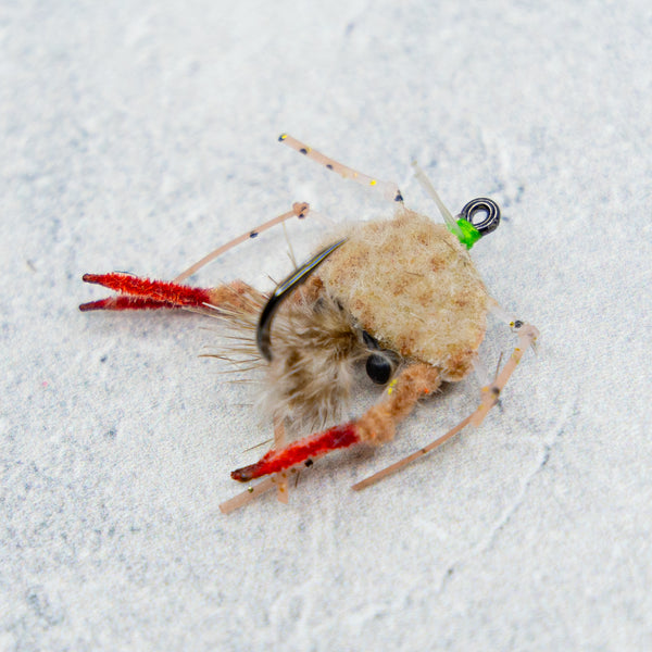 EP Palometa Crab