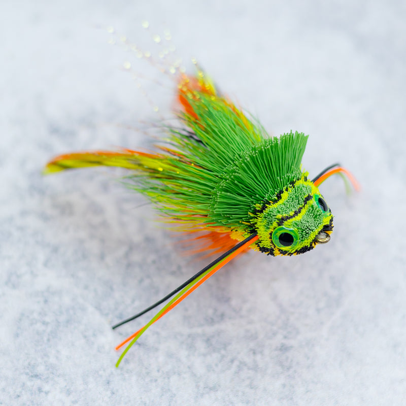 diving frog fishing lure Whitlock's Diving Frog – Space Coast Flies