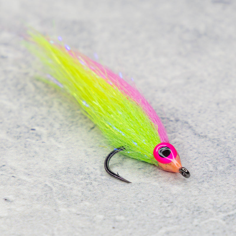 SWT Baitfish