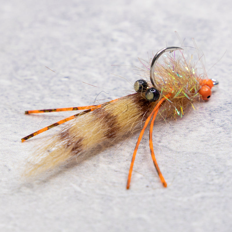 Presson's Flashy Howard