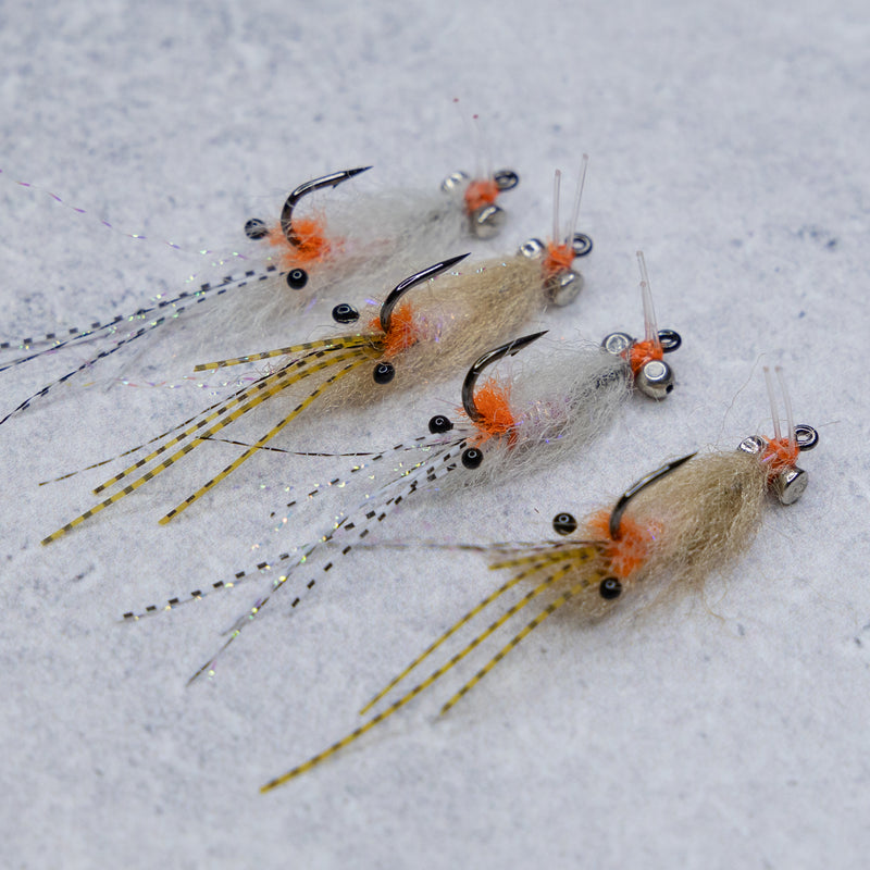 EP Spawning Shrimp #4