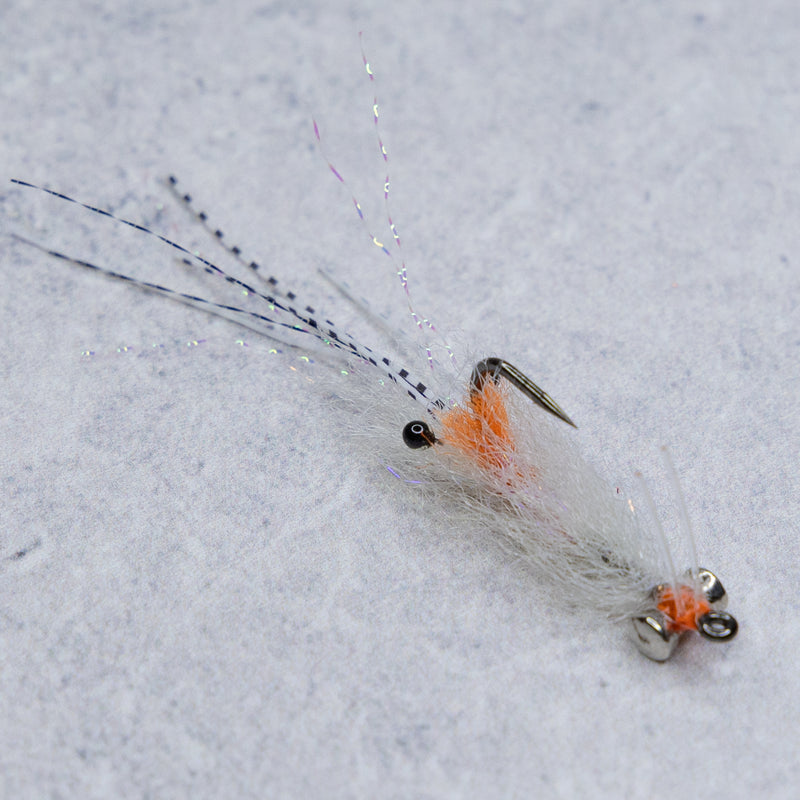 EP Spawning Shrimp #4