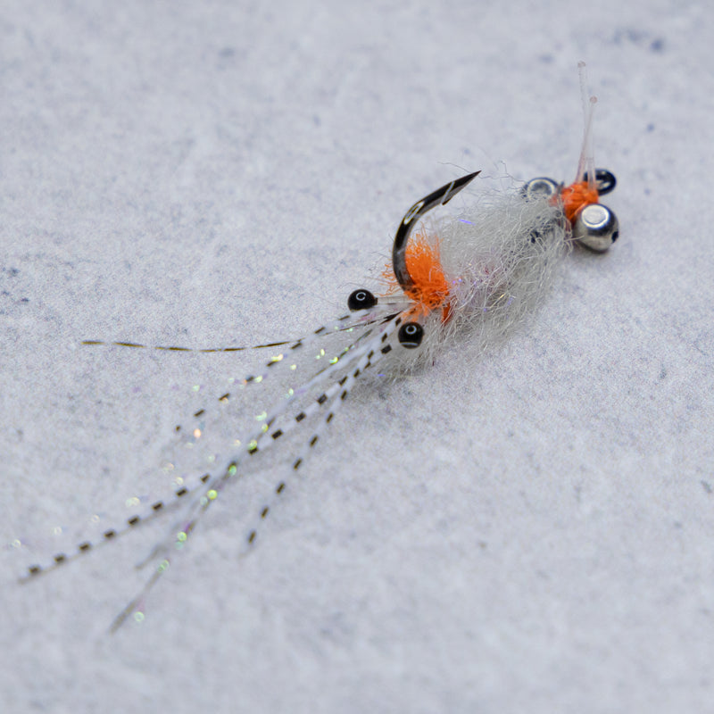 EP Spawning Shrimp #4