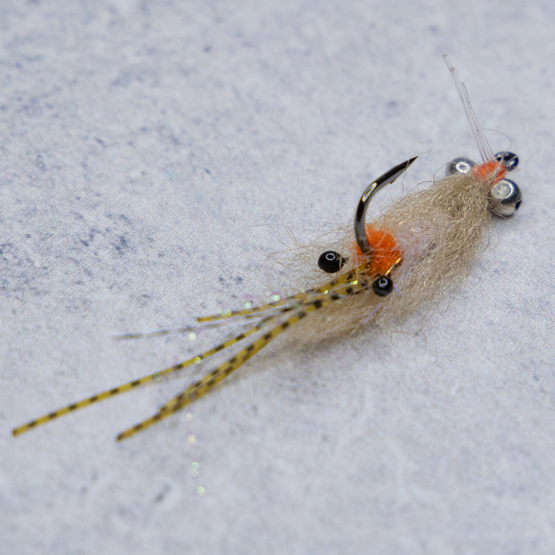 EP Spawning Shrimp #4