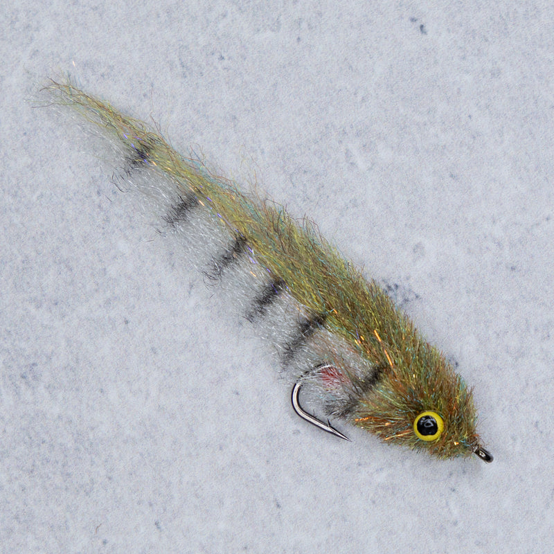 EP Little Minnow Shaded