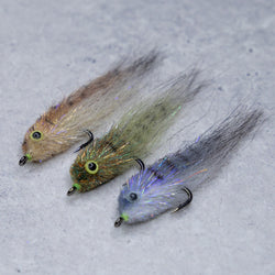 Mud Minnows  Fishing from Florida Shores