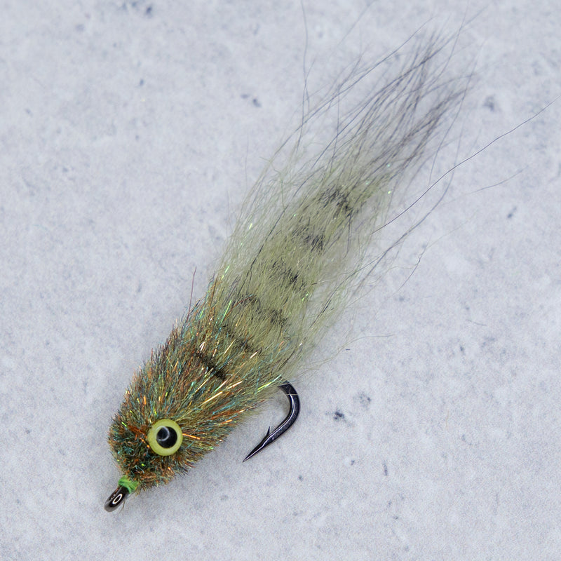 EP Mud Minnow